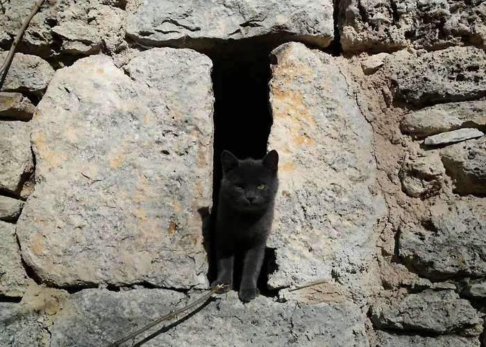 Eco-responsable Exceptionnel Pour 6 Ou 8 Personnes Secteur Gorges Du Tarn Casa de Férias